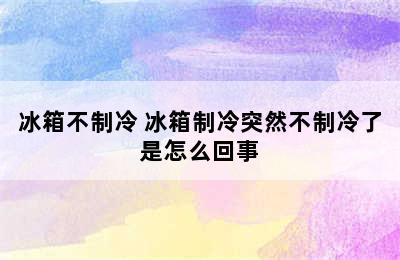 冰箱不制冷 冰箱制冷突然不制冷了是怎么回事